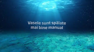 MIT VASELE SUNT SPALATE MAI BINE MANUAL [upl. by Goody]