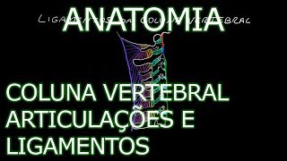 Aula Anatomia  Coluna Vertebral  Articulações e Ligamentos  Anatomia Humana Osteomuscular [upl. by Aivilo421]