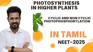 cyclic and non cyclic photophosphorylation in tamil  photosynthesis in higherplants NEET 2025 [upl. by Catherin]