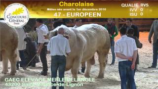 Concours race Charolaise 23 [upl. by Ardiedak]