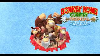 Music Donkey Kong Country Tropical Freeze  Panicky Paddles [upl. by Meelak]