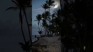 Dominican Republic Punta Cana Night Walk [upl. by Yulma]