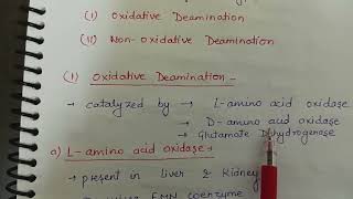 Deamination of amino acids [upl. by Yrrok]