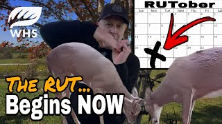 The Whitetail Rut Begins Now  Dont Miss Out [upl. by Yngad]