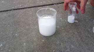 Citric acid  baking soda  water reaction [upl. by Winona]