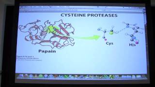 13 Biochemistry Catalytic Mechanisms II Lecture for Kevin Aherns BB 450550 [upl. by Yolanthe]