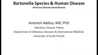 Bartonellosis  Antoneh Addisu MD [upl. by Aznaed]