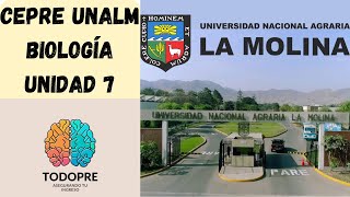 CEPRE UNALM  BIOLOGÍA  UNIDAD 72  FUNCIONES DE DIGESTIÓN CIRCULACIÓN RESPIRACIÓN Y EXCRECIÓN [upl. by Illah]