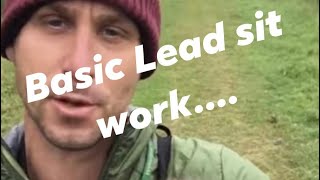 Basic spaniel sit and leash work [upl. by Mcintosh429]