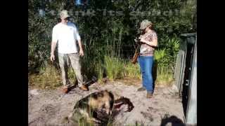 Hog Hunt WENT WILD full version 9 6 2014 Lake Wales Florida [upl. by Pich]