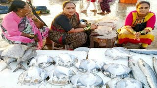 VERSOVA FISH MARKET  WHOLESALE FISH MARKET MUMBAI [upl. by Hanas434]