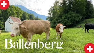 The Ballenberg Museum  Must see places around Brienz [upl. by Hobie]