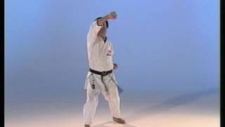 01 kata Heian Shodan Enoeda Sensei [upl. by Fabrianna232]