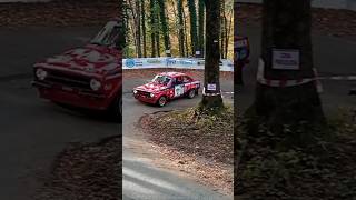 6° Lessinia Rally Historic 2024 SHOW amp CRASH  Prova Annullata [upl. by Reginnej]