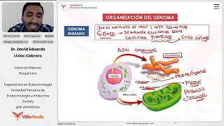 Genómica  Organización del genoma [upl. by Kirre]