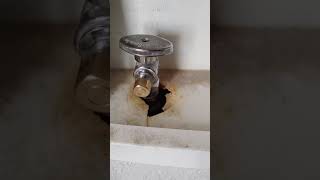 easy way to cap and fix a leaking ice maker water supply line valve [upl. by Inalaek]