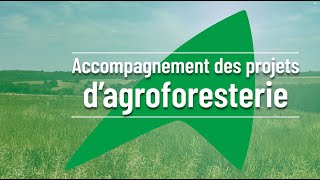 Accompagnement des projets agroforesterie 🌳​ [upl. by Wiburg705]