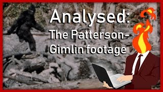 Analysed The PattersonGimlin Film [upl. by Ert]