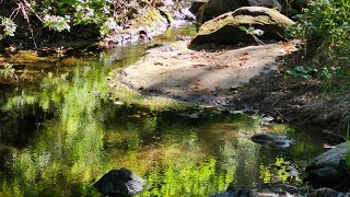 Water at Spahn Ranch [upl. by Cohen]