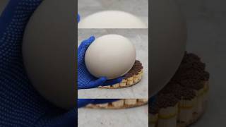 EXPERIMENT  OSTRICH EGG VS 10000 MATCHES I Fried egg on match 😱shorts friedegg eggsovereasy [upl. by Elboa]