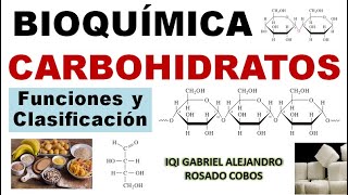 Carbohidratos glúcidos Funciones clasificación y conceptos básicos [upl. by Sheaff]