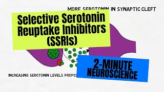 2Minute Neuroscience Selective Serotonin Reuptake Inhibitors SSRIs [upl. by Ikiv]