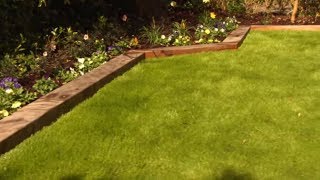 How to Care For and Maintain Lawns  Mitre 10 Easy As DIY [upl. by Emerson]