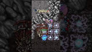 TIBIA  1000 RP SIN SET VS TRAP [upl. by Ecinom600]