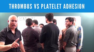 Thrombus vs Platelet Adhesion vs Platelet Aggregation vs Platelet Plug [upl. by Nicolina]