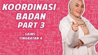 Ainan Tasneem Mengajar Tentang Koordinasi Badan Pt3 Sains Tingkatan 4 [upl. by Anuait]