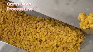 Corn flakes production line Oats Corn Flakes Making Extruder Machine WhatsAppWeChat8618963065070 [upl. by Eluk242]