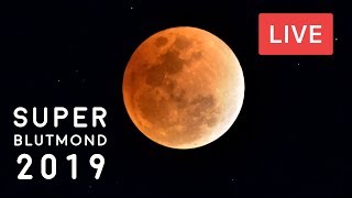 Blutmond im Januar Mondfinsternis 2019  Superblutmond Livestream ACHTUNG SATIRE [upl. by Antoinetta]