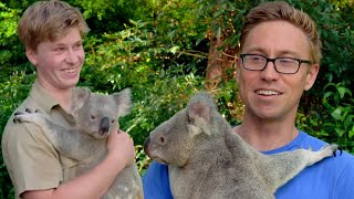 I Cuddled Koalas With Robert Irwin [upl. by Nyar]