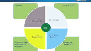 Chaperone co expression strategies for recombinant soluble protein production in E Coli [upl. by Olag154]