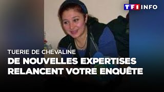 Tuerie de chevaline  de nouvelles expertises relancent votre enquête [upl. by Yahsel]