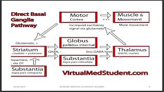 BASAL GANGLIA PARKINSON’S DISEASE amp EXAM QUESTIONS [upl. by Nonnaehr902]