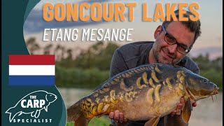 🎣🇫🇷🐟 Franse spiegelkarpers met UNIEKE BESCHUBBING én luxe accommodaties direct aan de waterkant 🎉🥳🤩 [upl. by Aerdnod]