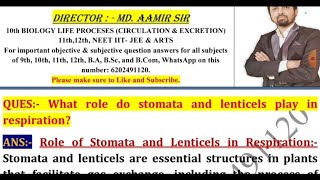 What role do stomata and lenticels play in respiration [upl. by Havstad]