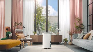 LG PuriCare™ Dehumidifier  LG [upl. by Keith]