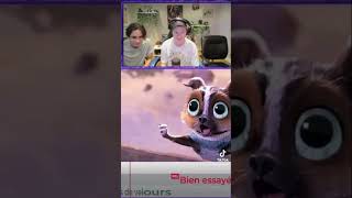 Kitty pattes de velour humour youtubeshorts streameur streamerfr funny france quebec [upl. by Yerggoeg]