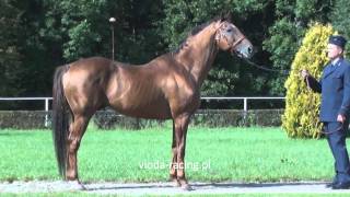 Belenus Lomitas  Beaute ur1996 [upl. by O'Brien420]