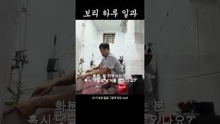 너에게도 생명수를 주겠어 feat 초보 식집사 [upl. by Pilar]