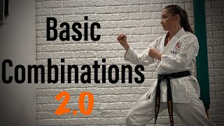 Karate workout basic combinations [upl. by Muhcon920]