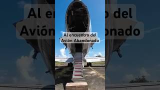 Al encuentro de un Avión Abandonado avion aviation abandoned adventure discoverpuertorico [upl. by Doowrehs834]