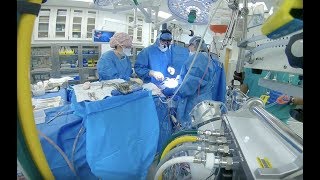 Repairing the Heart  Cardiothoracic Surgery [upl. by Aurea]