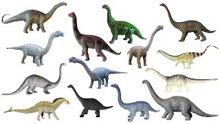 Sauropod Dinosaurs  Brontosaurus Apatosaurus Diplodocus  The Kids Picture Show Learning Video [upl. by Adnohrahs340]