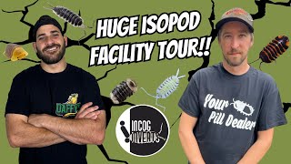 Thousands Of RARE ISOPODS At Incredible Isopod Facility [upl. by Vastah453]