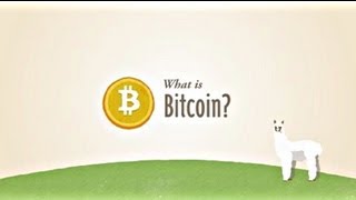 Bitcoins For Dummies Explained Official Video [upl. by Meehaf]