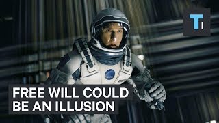 Neuroscientist explains why free will could be an illusion [upl. by Eicrad800]