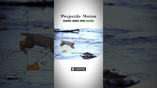 Projectile motion Example Video For Students  Lakshyam Coaching [upl. by Amalburga]